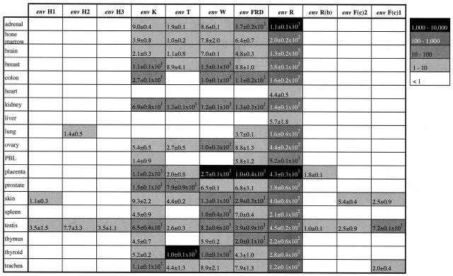 Figure 4 of the paper, showing a greyscale table of relevant sequences and their prevalence across 19 tissues sampled